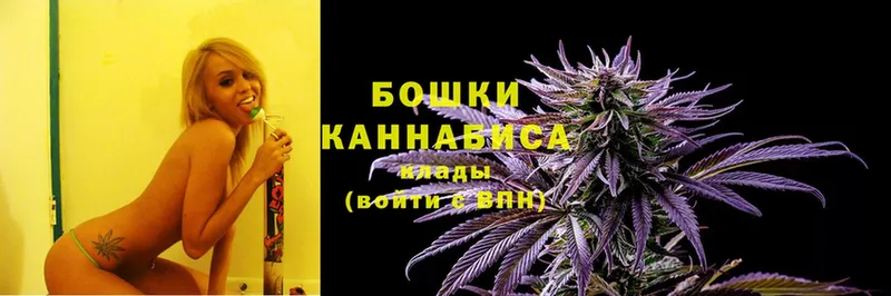 где продают наркотики  Барыш  Канабис OG Kush 